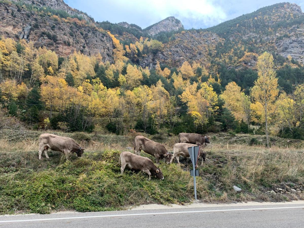 Chalet En El Pirineo De Aragon Neril 외부 사진